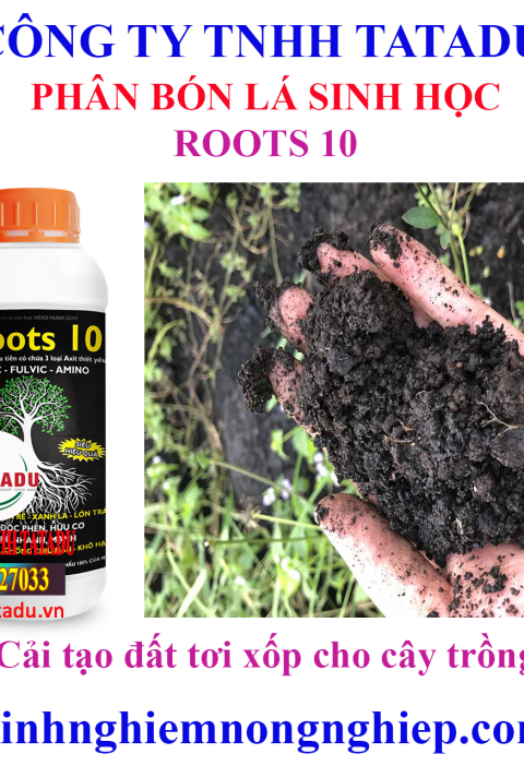ROOTS 10 1 7