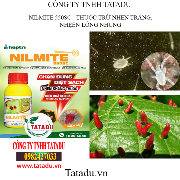 NILMITE TATADU1