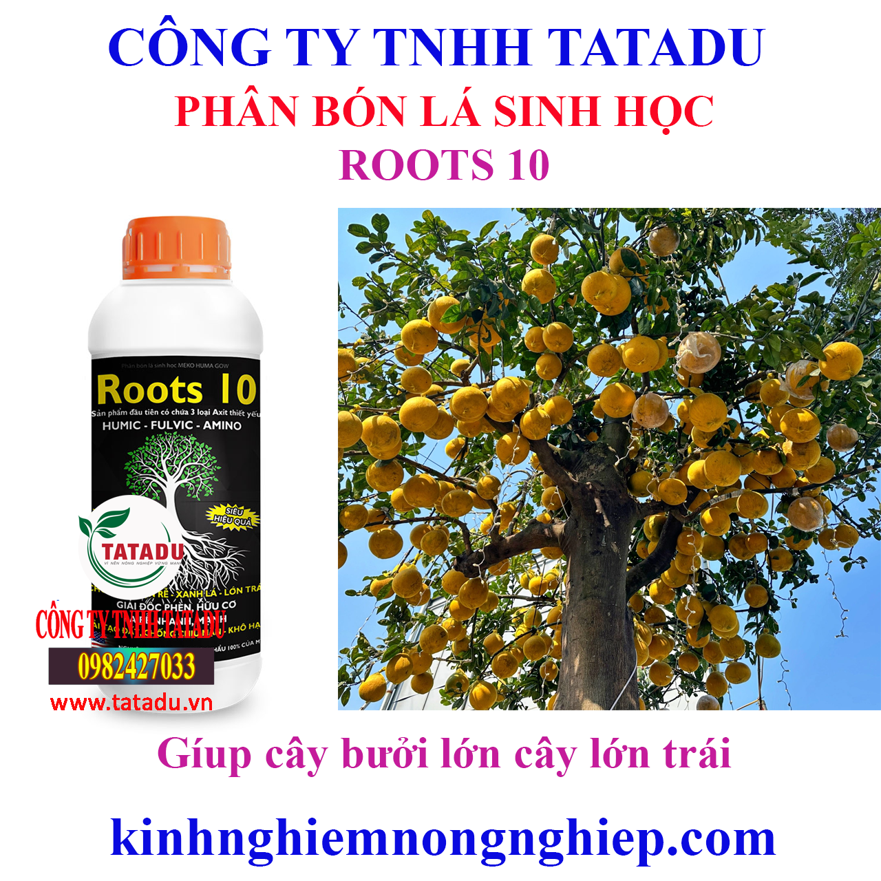 ROOTS 10 1 12