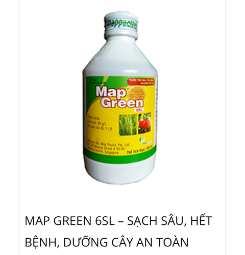 MAP GREEN