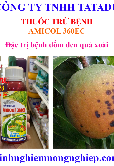 AMICOL 360EC 1