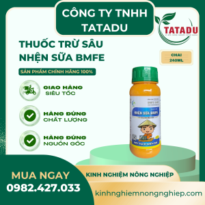 NHỆN SỮA BMFE (1)